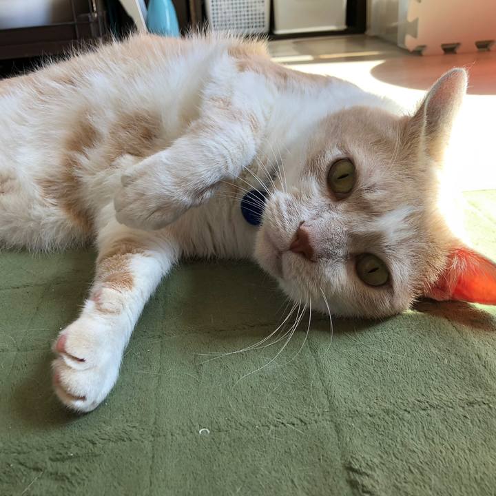 D1c11481 2fac 44c3 939b eec96f23978c 1558743074644