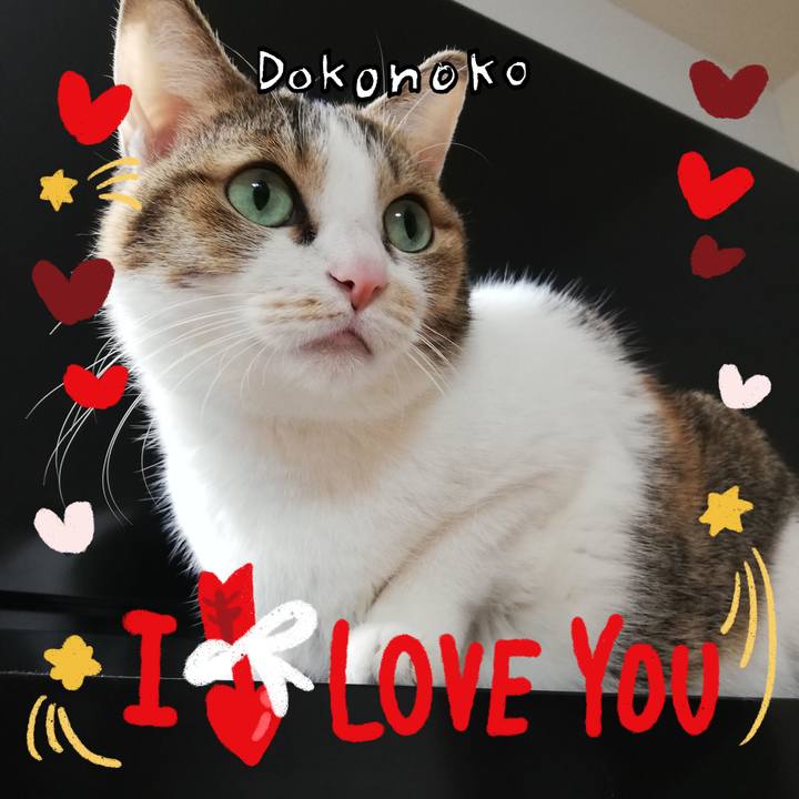 D1c12b51 2c95 4f62 804d b64e8bce5d1f 1707302022486