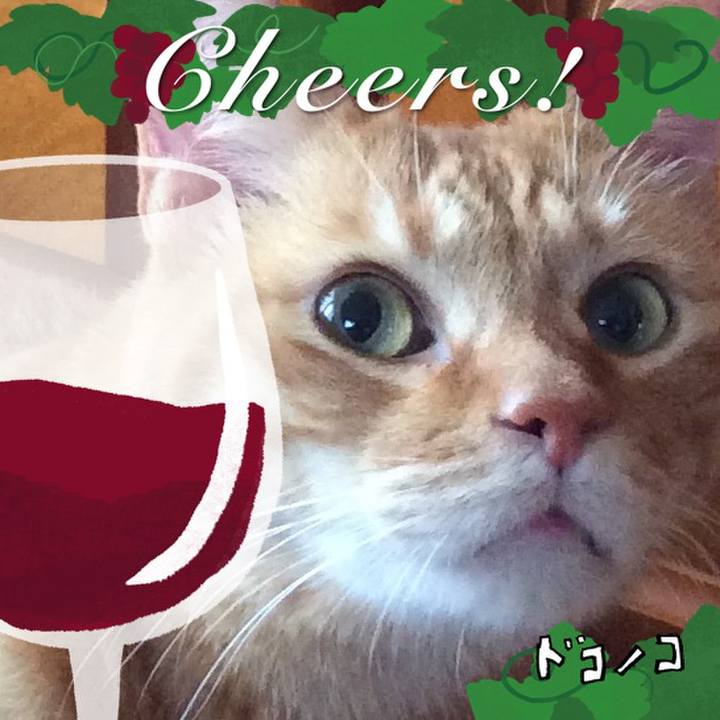 D1c137e1 d3a1 4a78 a43d a1d2f05b4f4b 1761124664781