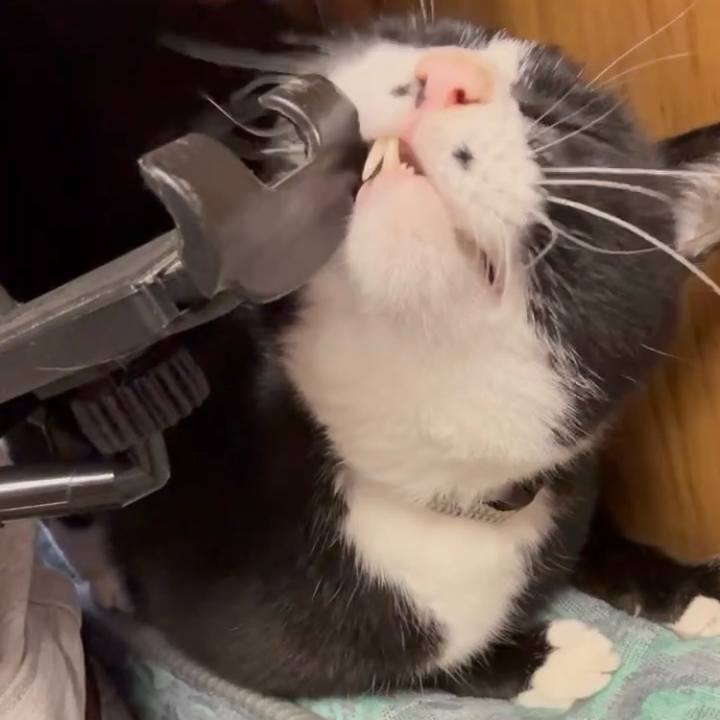 D1c1640a 0b77 4180 85fa acb74e81bdc2 1744776741829