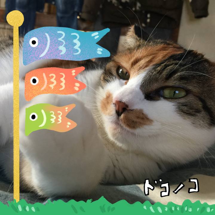 D1c16598 14b2 4184 abc1 fbf7cff2c53f 1715088057512