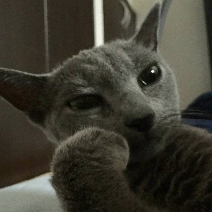 D1c16bb7 9423 4c64 869b 86d43eb4e457 1532475421441