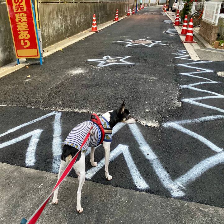 D1c190c0 b816 48fe ac3d 7087e1695cf2 1606253999820