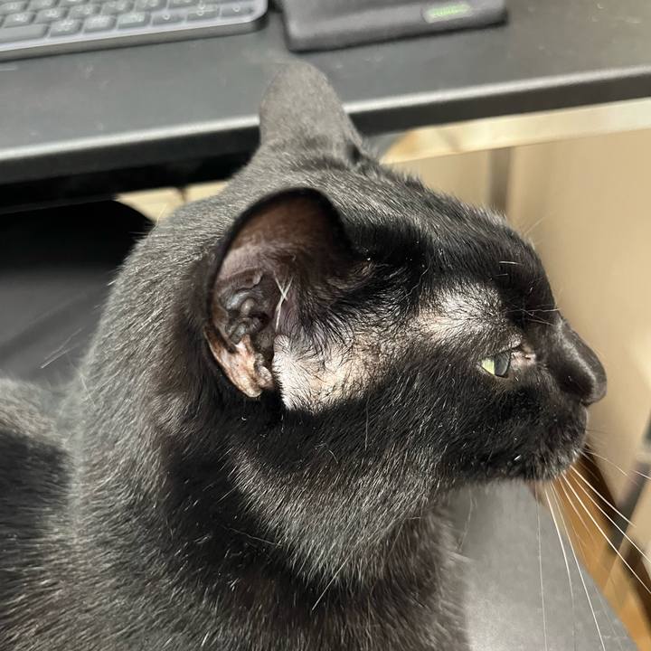 D1c1af72 dacd 4b9f bd48 23a62b2a2961 1686529629724