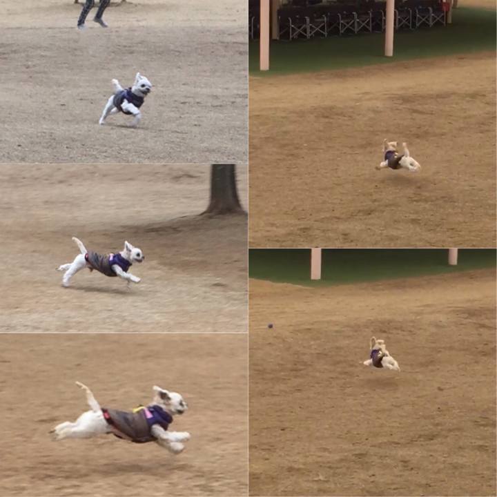 D1c1ffd0 dce6 4ba8 b6a1 f19593a1fc73 1516271494832