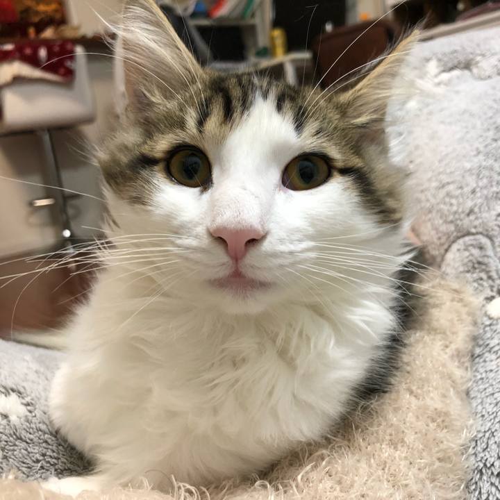 D1c216e4 cbdd 41b5 aed2 8ce2aaeee539 1520507589829