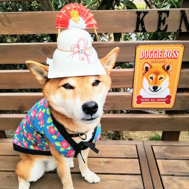 D1c21d46 983a 4c03 b783 3791e77006c3 1610341835371