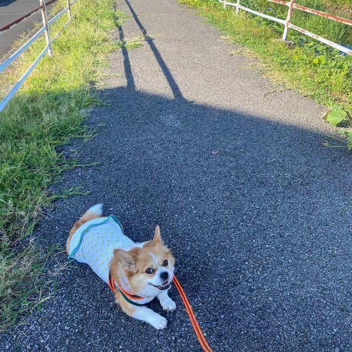 D1c328b6 bb05 4889 8bbb eb1a4781104b 1754608650283