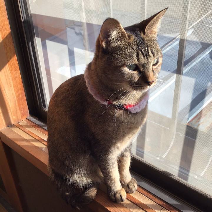 D1c336cc 2b84 475c 8799 66a96809fa9e 1611016097679