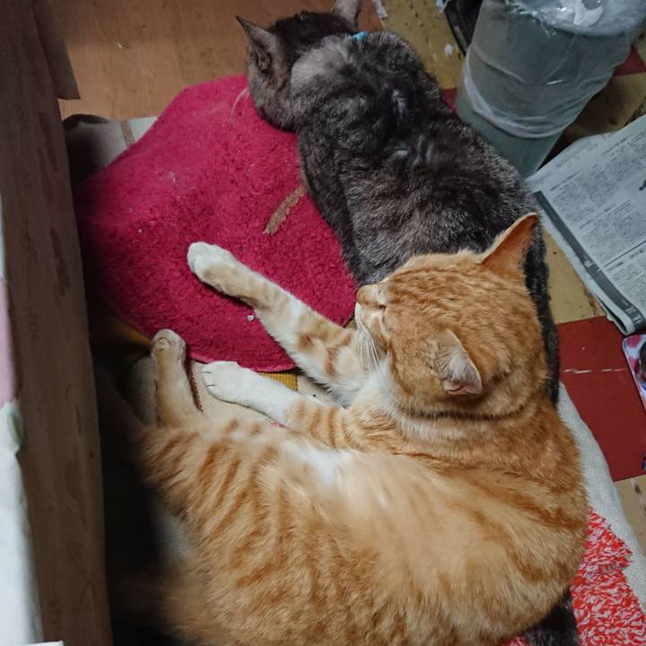 D1c35f63 1fc7 425f 95af db2649c970df 1555622057255