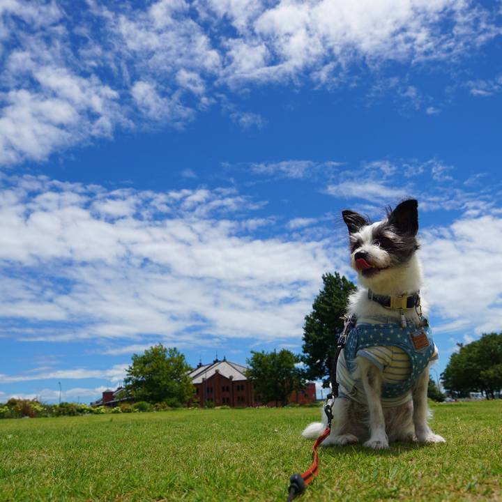 D1c37169 68ef 44e9 af7f 1ba6b2381461 1564134577367