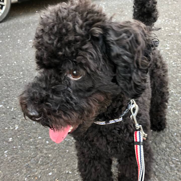 D1c3995e 68b1 4cce 9c3c fed5af7080d8 1531695537393