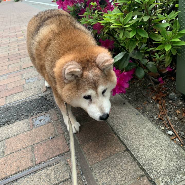 D1c45a06 6dfe 408a ad50 071eb43a6556 1651190515826