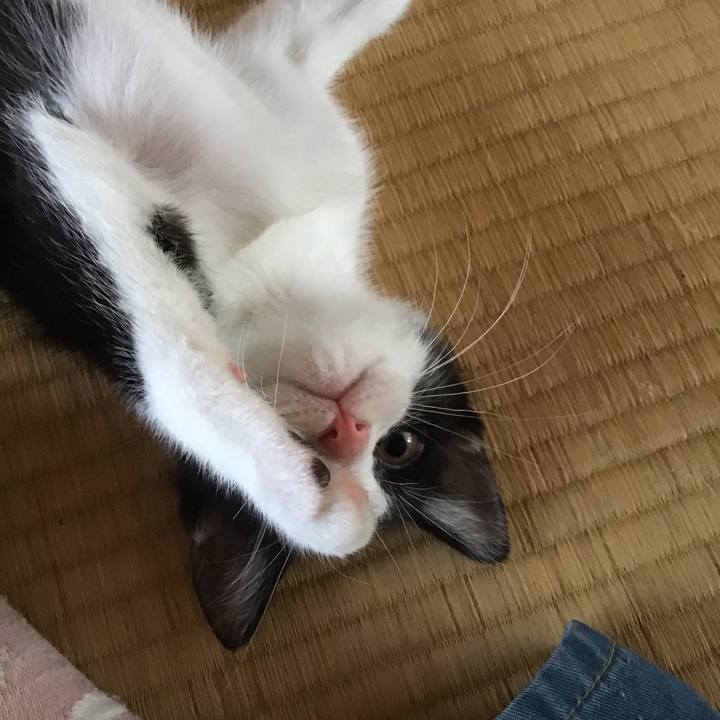 D1c47544 a8b8 4a74 b4cc 72cec35d9d7b 1625033007266