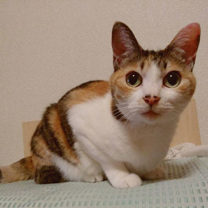 D1c477de 245a 4bf1 b181 1ff7e548fb2b 1596979349363