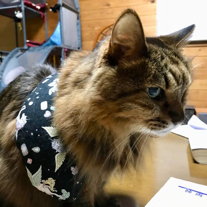 D1c47ad6 6f83 40e5 a4c6 876932db1229 1511514543304