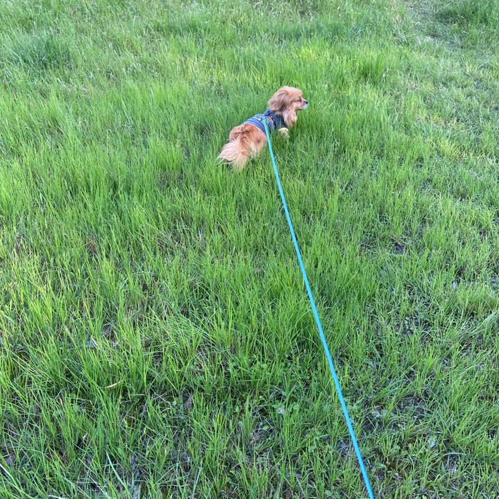 D1c47dcd bb54 4679 891d 0901bcb10a75 1619041228312