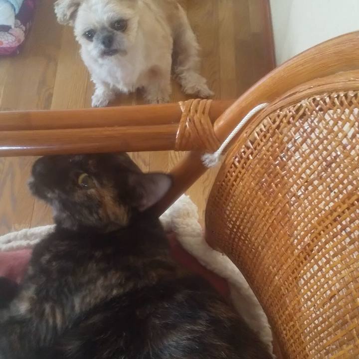 D1c4860f 9529 4a2c b999 b73557362f87 1754268008317