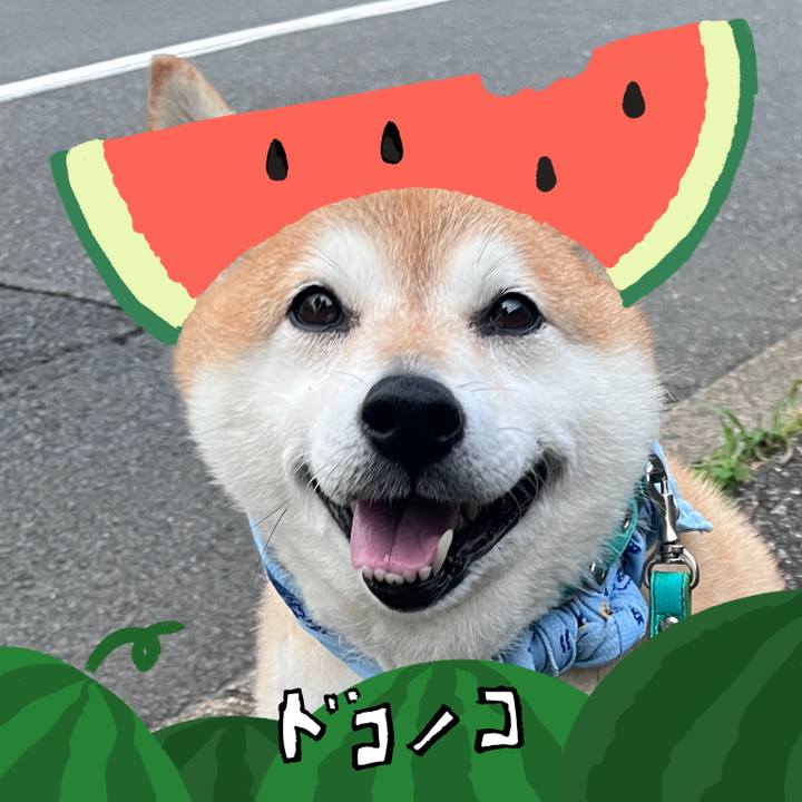 D1c4aa09 861b 463f a51e 938da9f0dacf 1720761135898