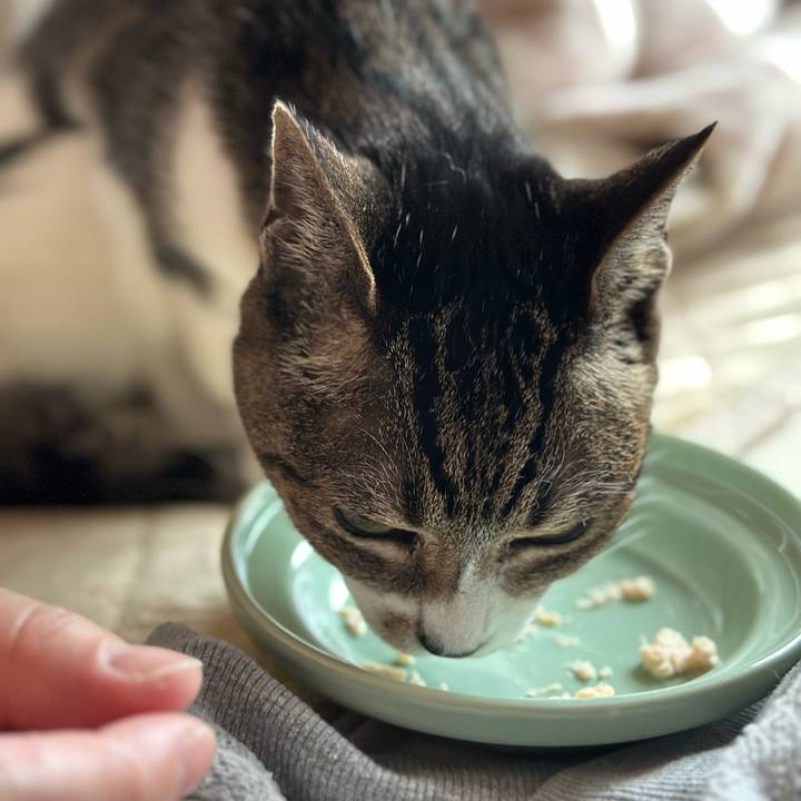 D1c500b3 ead3 4997 86a2 76bc659b610b 1680832188223