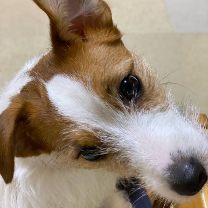 D1c53331 8edd 4529 97cc 8f2a6506c8ed 1646479859298