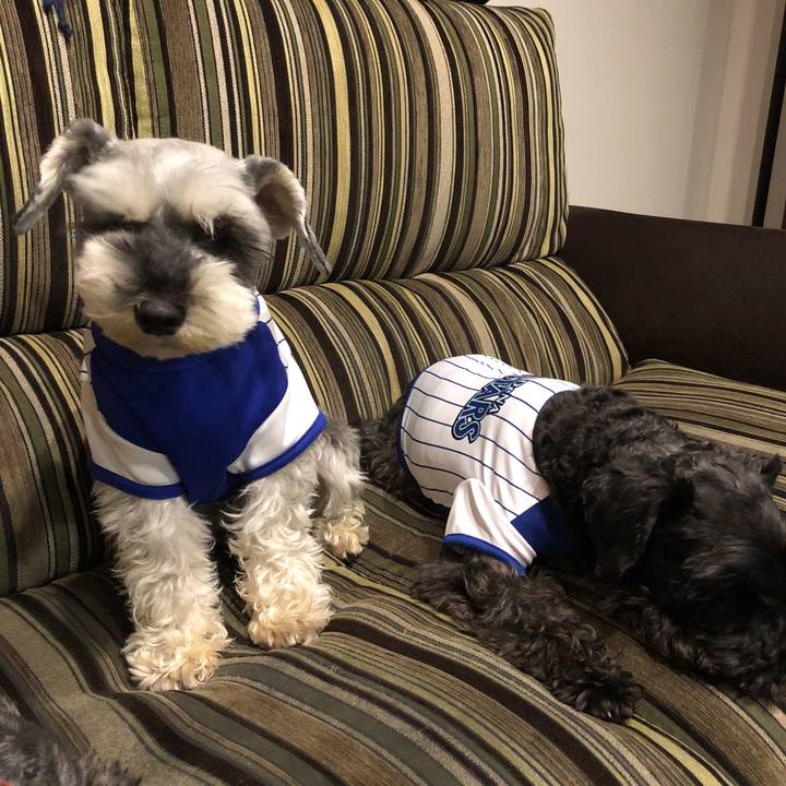 D1c53bac e405 43ab 901e ff381d39a009 1526471349745