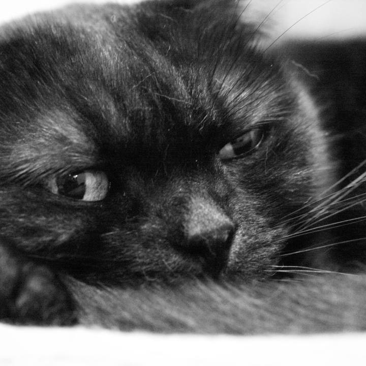 D1c55d65 6abe 4f27 94aa 51fbaa110400 1537977006970