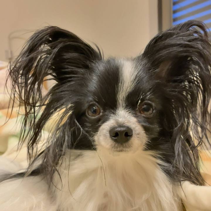 D1c5aa43 cb52 461c a15c 0f2578b37d41 1540847285591