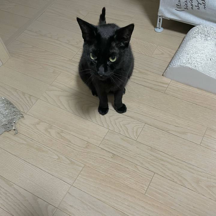 D1c5add7 4179 4a7a a4e3 cfb12295f8f3 1685711663364