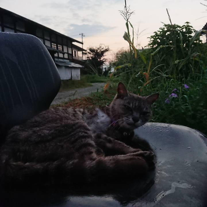 D1c5d256 09ad 47c2 850d 3cd2dfde6830 1598645864739