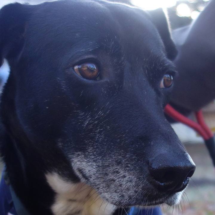 D1c5de83 8943 420b abaf 8927815410fe 1705884421588