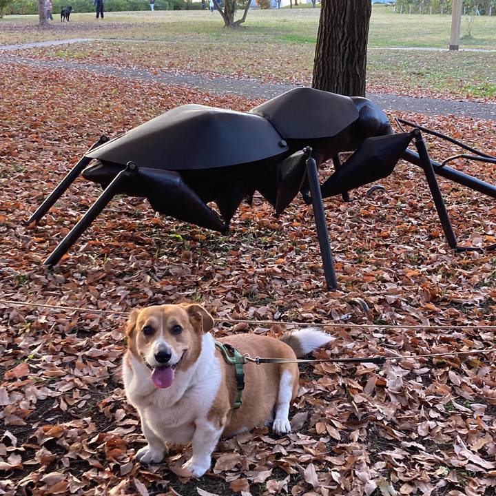 D1c5f12d 99f6 4451 a326 f58cee9af700 1763950221422