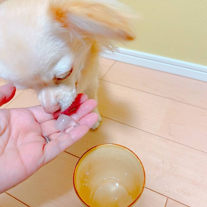 D1c5f633 7254 4b0a 905e 0ea8a11fd85b 1626174746306