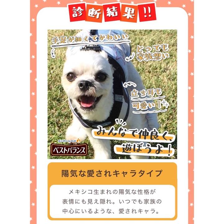 D1c60e6e f820 4d35 8146 2252641a14bf 1542017709742