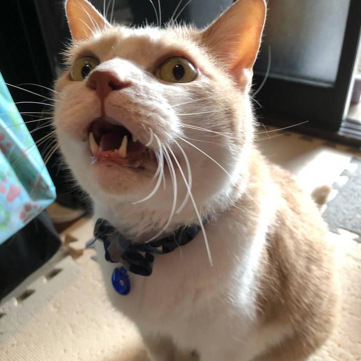 D1c61929 7efc 4df0 9a2f f4513177de50 1567567493794