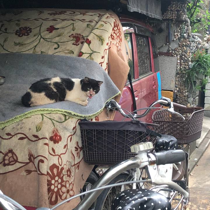 D1c6206f 66d6 4da4 a59d 226ea4cd42a9 1569075332690