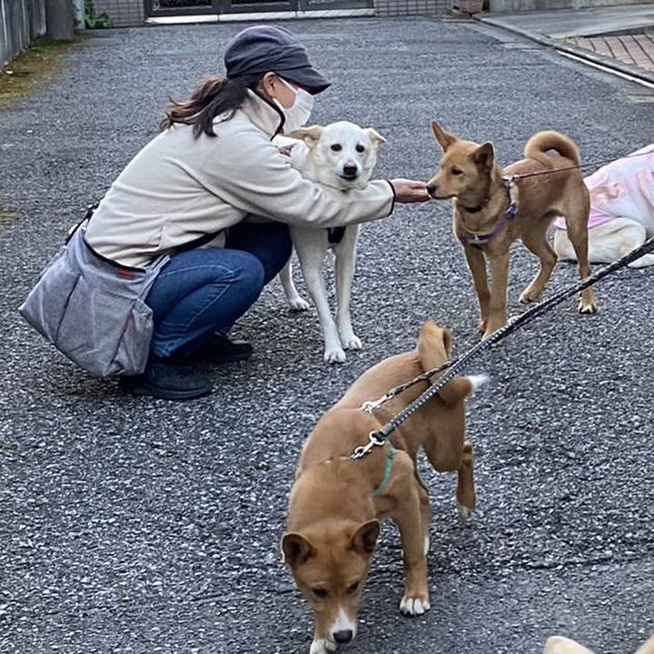 D1c62587 421c 455d b07a 627cc917ef5f 1679227431464