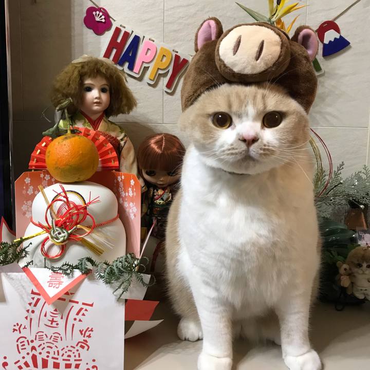 D1c64ac3 9a68 4575 977b 6baf47bdc298 1546385414221