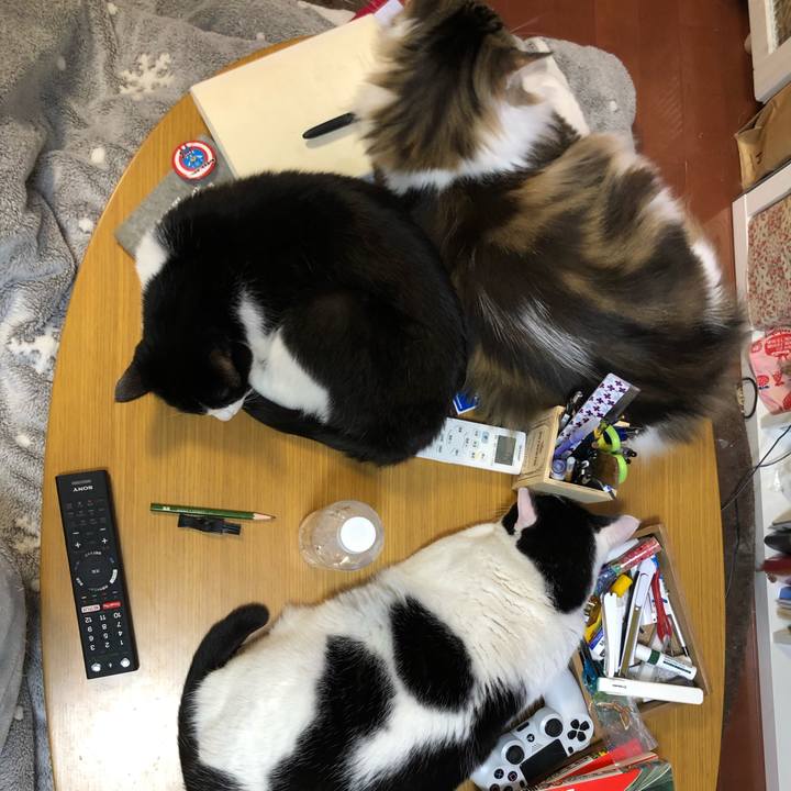 D1c69109 690b 4ecd a30c 7a83fc042e96 1581545152889