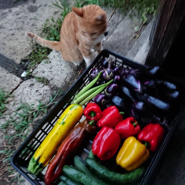 D1c69e27 1266 4710 9082 afcf0ce07aeb 1566466371693