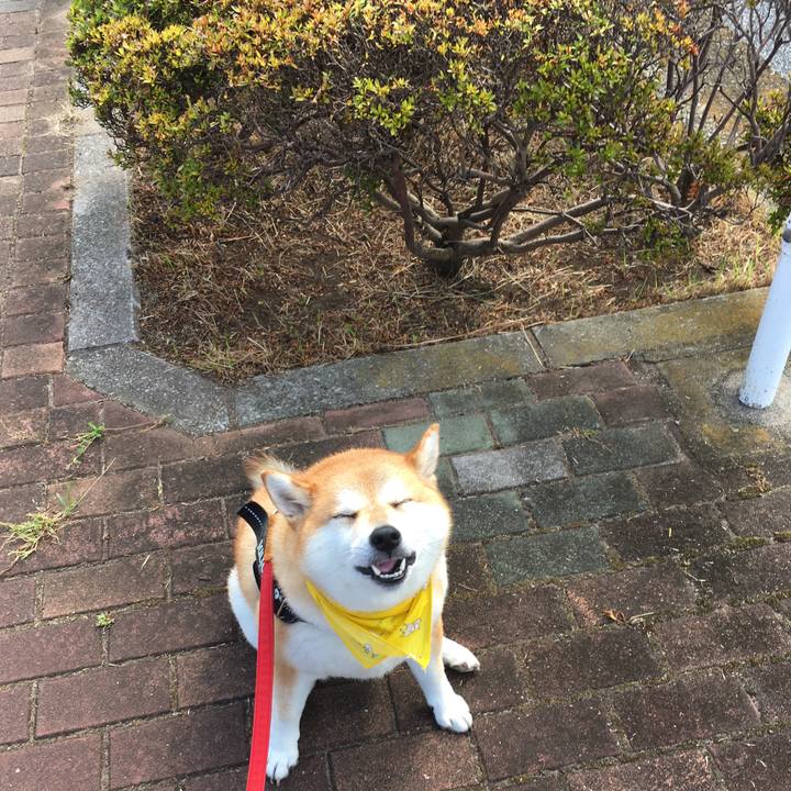 D1c6c406 2c58 47b7 a9b8 0f132fb31707 1599179425431