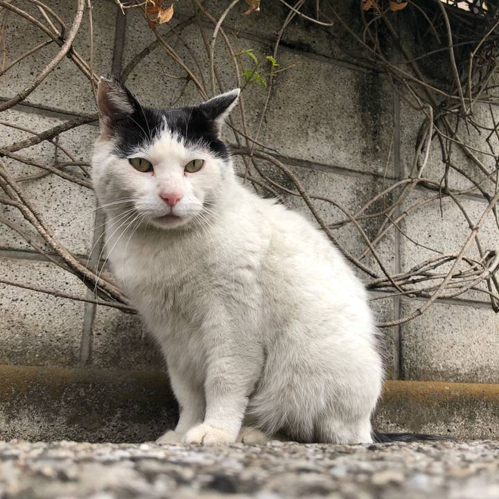 D1c6faae c55b 416d 9b44 fc0c5ddc64e9 1614442092330