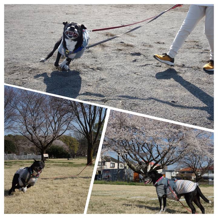 D1c6fbe0 5fa3 459f ab4f d9ebe5d0347a 1743818167103