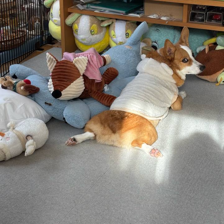 D1c71d8c a28c 4d92 abce 5f39f6cdf398 1766806946577