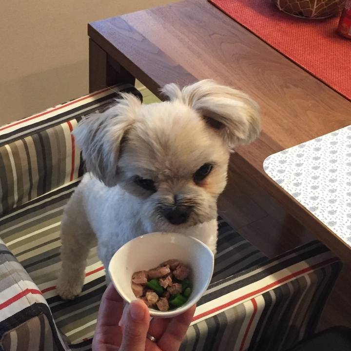 D1c71fdf ee72 4f28 90b3 017f01d64def 1521368278175