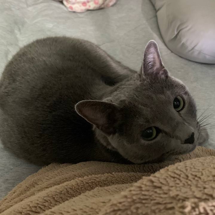 D1c74a8d e362 4afa b7d0 cf0dee764337 1637352971066