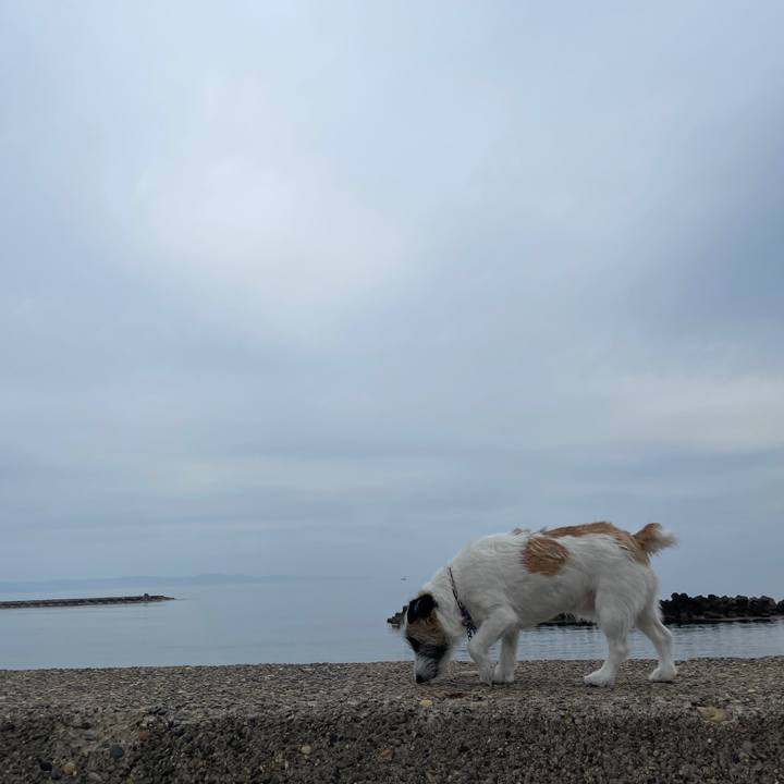 D1c76922 9e77 4aaa aec5 38a39dbdd5b7 1652747417562