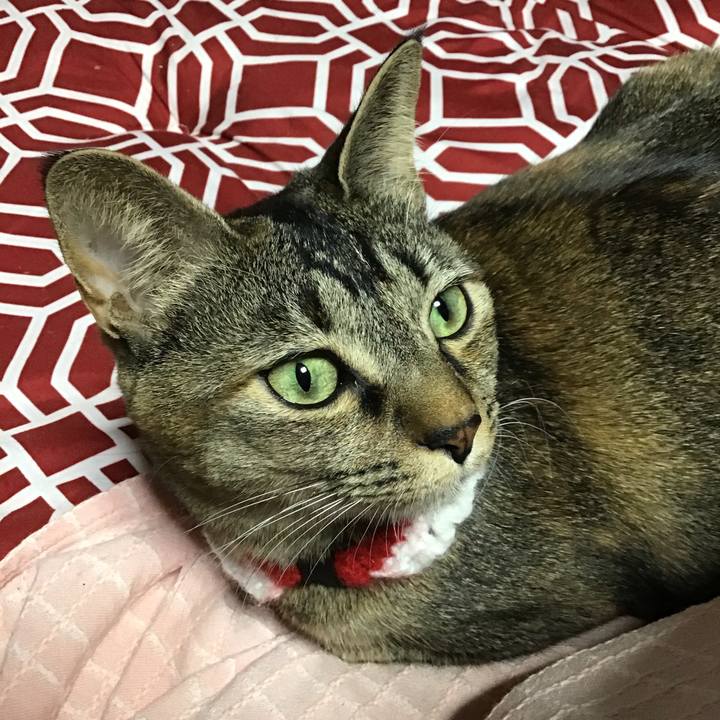 D1c78f16 ab37 433e 8739 25c77203af75 1609760571194