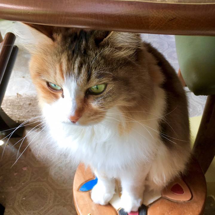 D1c7a9be ac1a 4987 9089 0849b2725884 1560134652243