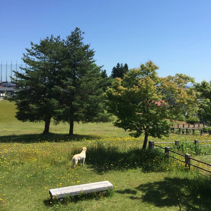 D1c7bf9f c3d0 4b55 b3a9 9bfe4cb78bec 1553948901625